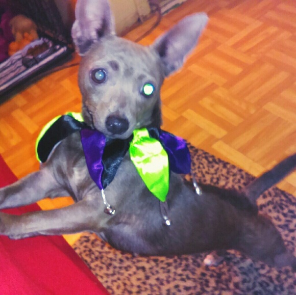 WELCOME - Picture 2 of 5